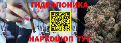 спиды Донской