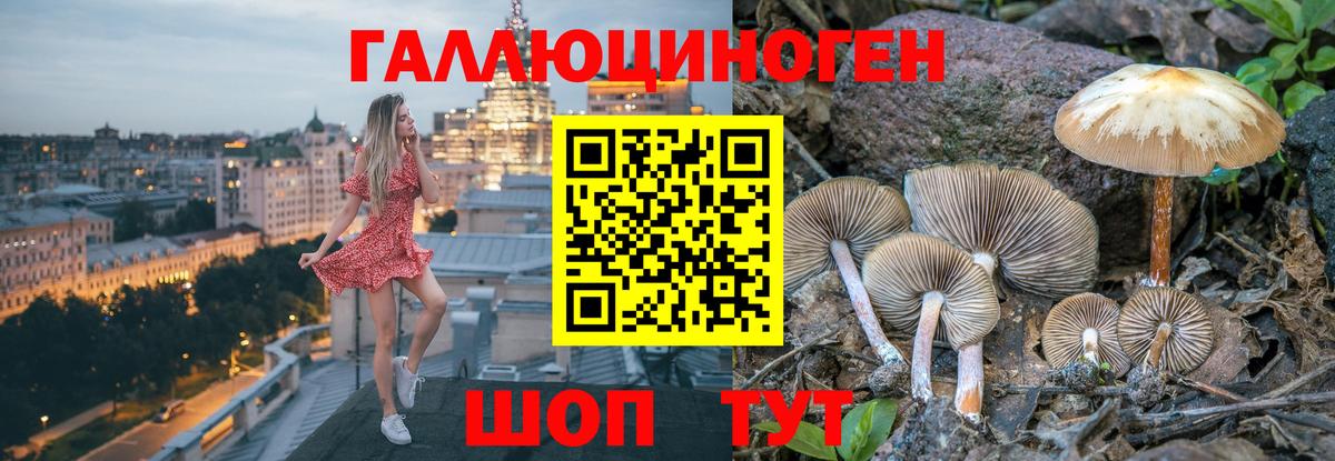 Псилоцибиновые грибы ЛСД  Вход с VPN  Лабинск 