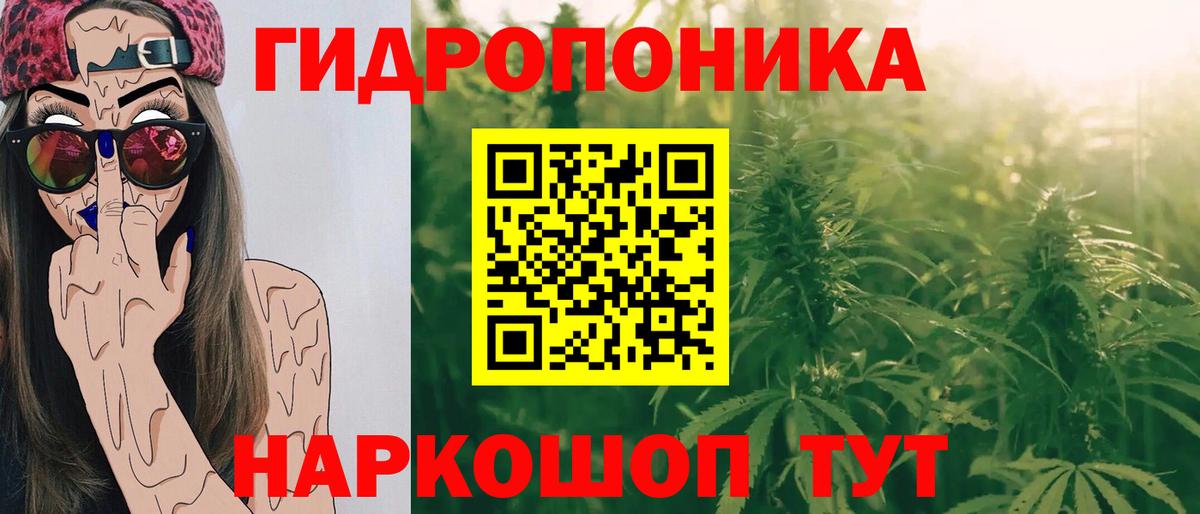 Шишки марихуана тримм  Вход с VPN  Бошки марихуана ГИДРОПОН  Лабинск  Каннабис индика 